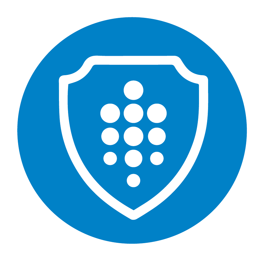 Integrity_Values_Icon_no_wording